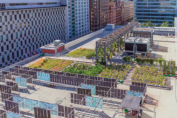 Agriculture urbaine : le Palais des congrès de Montréal primé