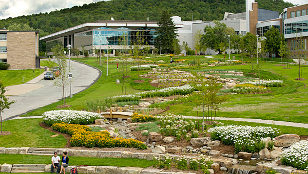 Le jardin de pluie de l’Université de Sherbrooke - Photo : Université de Sherbro