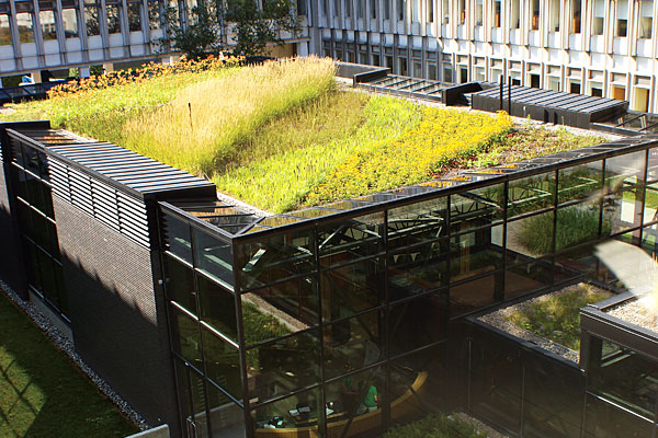 L’intégration des végétaux comme composantes vivantes des bâtiments. 