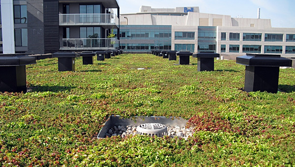 Sommet sur les toits verts - Photo : Les Membranes Hydrotech