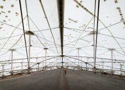 Un concours international vise à donner une deuxième vie aux matériaux et composantes structurelles de la toiture du Stade olympique de Montréal. Photo : Parc olympique