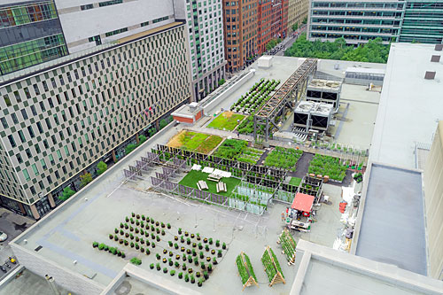 Les toits du Palais des congrès de Montréal accueillent le plus grand laboratoire d’agriculture urbaine au Québec. Photo : Palais des congrès de Montréal