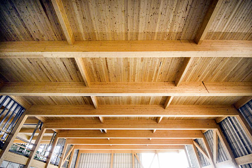 La structure en bois est très apparente dans l'école du secteur Vauquelin. Crédit : MADOC Studio