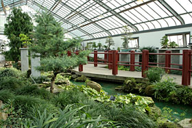 Le Jardin botanique - Photo de Espace pour la vie – Michel Tremblay