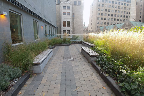 Le jardin de guérison de l’Institut neurologique de Montréal. Photo : Antoine Trottier / La ligne verte