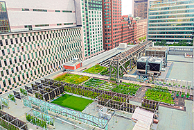 Le Palais des congrès de Montréal vient d’obtenir le renouvellement de sa certification BOMA BEST. - Photo : Palais des congrès de Montréal 