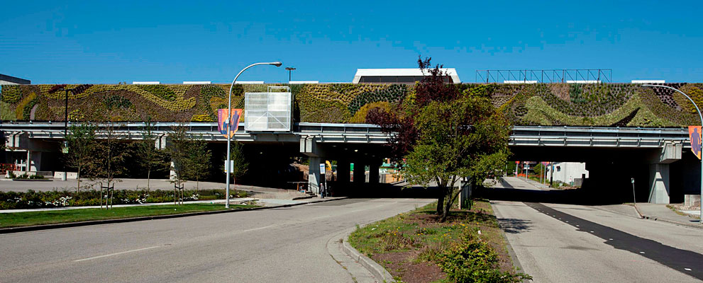 Le mur végétal du Guildford Town Centre - Photo : Ivanhoé Cambridge