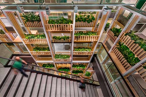 Le design biophilique du siège social de Nortera a été reconnu à la 16e édition des Grands Prix du design.  Photo : Claude-Simon Langlois