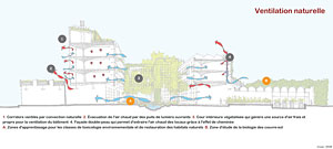 Schéma de l’École d’écologie Odum - Image de BNIM