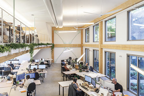 L'esprit biophilique des bureaux de Rayside Labossière est notamment attribuable à la structure de bois apparente et à la présence de plantes tout au long de la mezzanine. Photo : Rayside Labossière