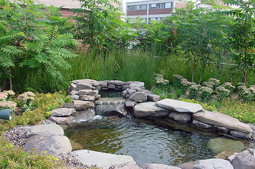Le jardin thérapeutique du Chicago Schwab Rehabilitation Hospital. Photo : Hydrotech