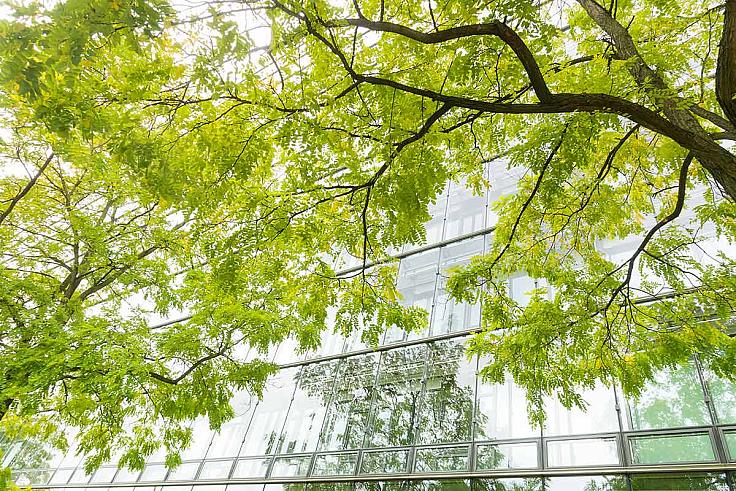 Le Conseil québécois des entreprises en efficacité énergétique (CQ3E) publie le Manifeste sur la décarbonation des bâtiments du Québec.