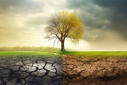 Dans un contexte d’incertitude économique, le soutien à l’action climatique, souvent sous-estimé, reste primordial.
