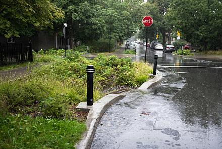 Québec a lancé le 2 juin dernier son premier appel à projets du Programme pour la gestion durable des eaux de pluie (PGDEP) 2025-2027. Crédit : Ville de Montréal