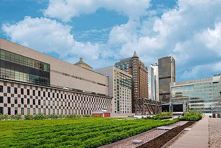 L'agrandissement du toit vert du Palais des congrès permettra de multiplier les projets d'agriculture urbaine. Photo : Palais des congrès de Montréal