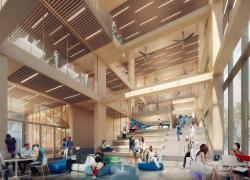 Construction en bois : appui au projet The Arbour à Toronto
