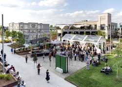 L’avenue des Lumières, qui se se trouve au coeur du Quartier Dix30, a été transformée au cours des derniers mois. Crédit : Edmond Chung  