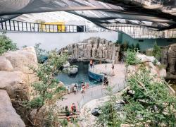 Incursion au cœur du Biodôme de Montréal métamorphosé dans le cadre du lancement de la programmation 2020-2021 du CBDCa-Qc. Photo : Mélanie Dusseault / Espace pour la vie