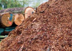 Le Conseil régional de l’environnement du Bas-Saint-Laurent (CREBSL) publie une boite à outils sur la biomasse forestière.