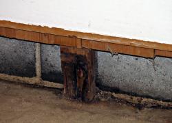 La nouvelle norme BNQ 3009-600 expose la marche à suivre dans un cas présumé de contamination d’une habitation par les moisissures. Photo : BNQ