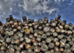 CVBois : nouveau programme pour la construction en bois massif