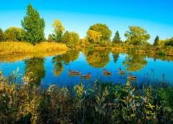 Brossard adopte son Plan d’action en environnement 2020-2021 Photo : Ville de Brossard