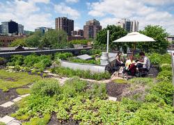 Toit de la firme Rayside Labossière architecte situé sur Ontario à Montréal