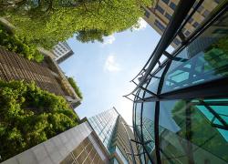 Le CBDCa fait ses recommandations pour atteindre la carboneutralité dans le cadre des consultations prébudgétaires 2023.