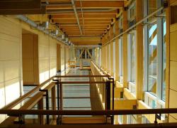 Recherche sur la construction écoresponsable en bois - Photo : Université Laval