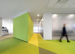 Un espace aménagé par ACDF où le tapis avec un agencement de couleurs et de textures diverses est appliqué sur les murs pour absorber le son. Photo : Adrien Williams