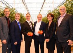 Une serre à faible empreinte écologique