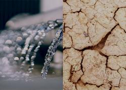 Nouvelles formations en environnement