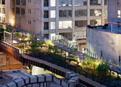 The High Line