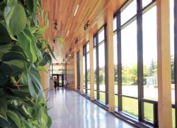 Le pavillon horticole écoresponsable de l’ITA - Photo : ONICO Architecture