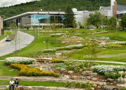 Le jardin de pluie de l’Université de Sherbrooke - Photo : Université de Sherbro