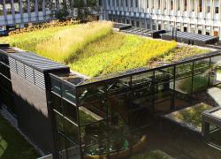 L’intégration des végétaux comme composantes vivantes des bâtiments. 