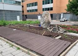 Une microforêt au cœur du quartier Saint-Roch. Crédit : Université TÉLUQ