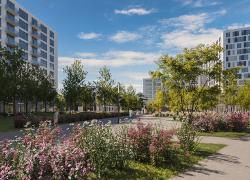 Le projet Monarc vise l’obtention d’une certification LEED. Image : Trantor immobilier