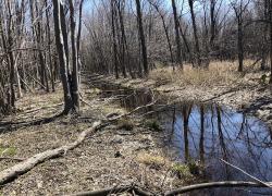 MONTONI a cédé 7,2 hectares de milieu naturel à la Ville de Laval à des fins de conservation. Crédit : MONTONI