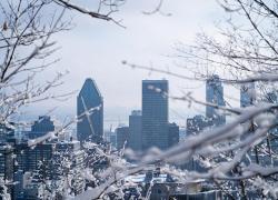 Le Groupe de travail Bâtiment du Partenariat Climat Montréal a publié le rapport « Rénover et bâtir mieux ».