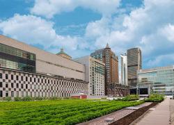 L'agrandissement du toit vert du Palais des congrès permettra de multiplier les projets d'agriculture urbaine. Photo : Palais des congrès de Montréal