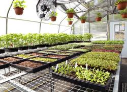 Première montréalaise en agriculture urbaine