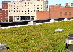 Toit vert de la Maison du développement durable de Montréal.