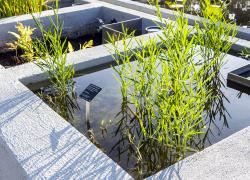 L’implantation du Parcours des phytotechnologies vise à démontrer l’importance de développer et de mettre à profit des solutions alternatives propres et efficaces, notamment pour réduire la pollution de l’eau, des sols et de l’air. Photo : Mathieu Rivard / Jardin botanique