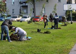 L’Arrondissement de Lachine, en partenariat avec le Groupe de recherche appliqué