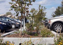 Lourd tribut climatique pour les grandes villes québécoises