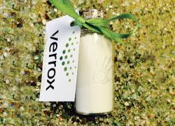 La poudre de verre recyclée reconnue comme ajout cimentaire