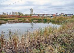 Laval renforce la protection des territoires humides. Crédit : Vincent Girard