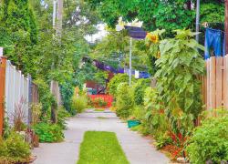 L’Arrondissement de Rosemont–La Petite-Patrie déploie son plan de transition écologique. Photo : Arrondissement de Rosemont–La Petite-Patrie