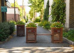 La Ville de Québec vient de lancer un appel à projets pour le verdissement de ruelles dans le quartier Limoilou en vue de contrer les îlots de chaleur et de favoriser la biodiversité urbaine. Crédit : Ville de Québec